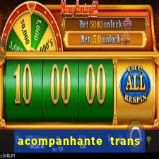 acompanhante trans de porto alegre